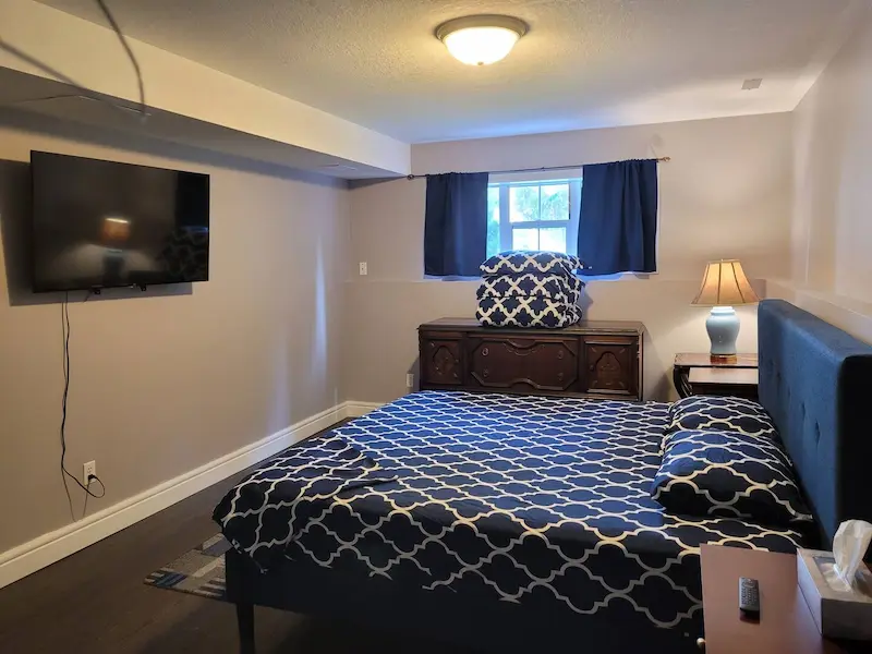 Basement bedroom with queen bed and TV