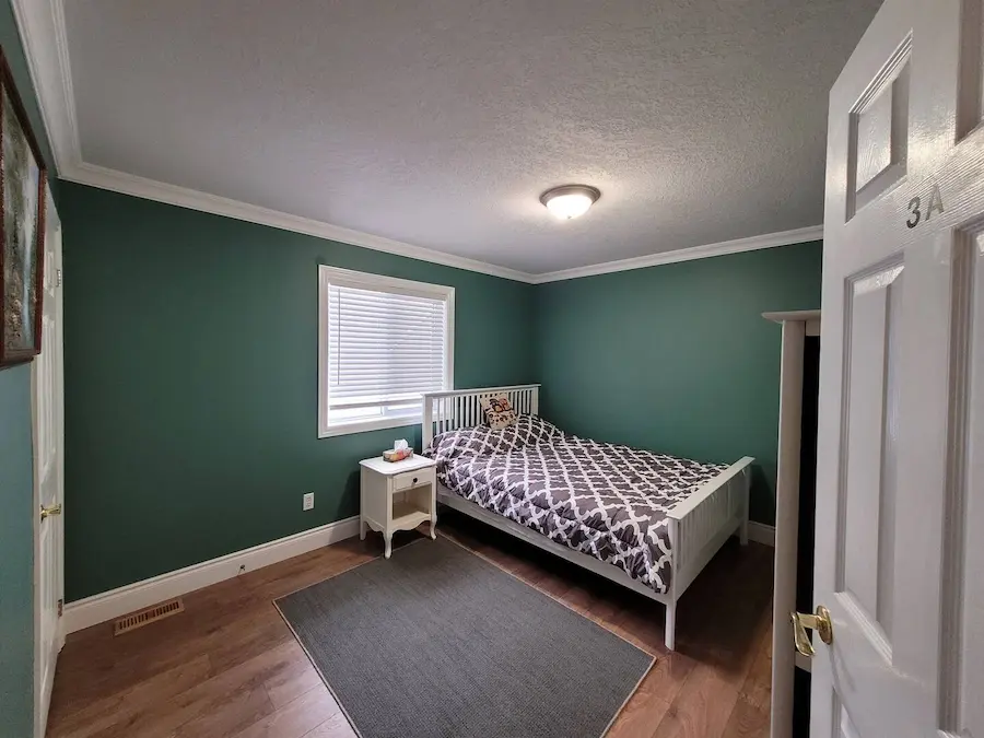 Cozy bedroom with teal walls and single bed